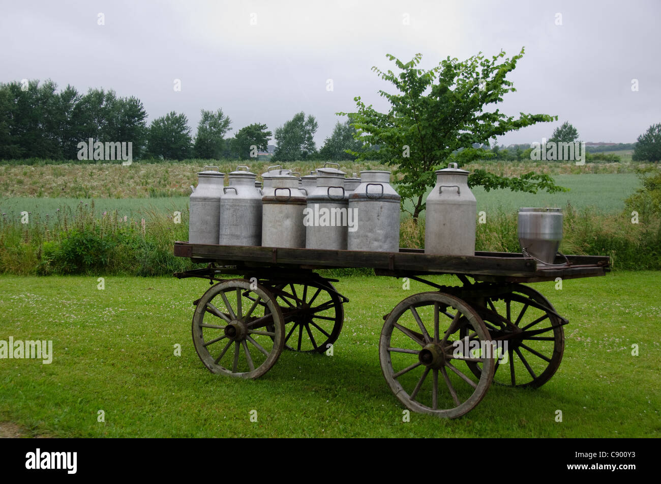 Old traditional milk cans on a wooden horse and cart Stock Photo