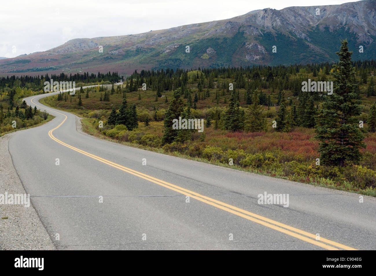 Street in Denali National Park Alaska USA Stock Photo