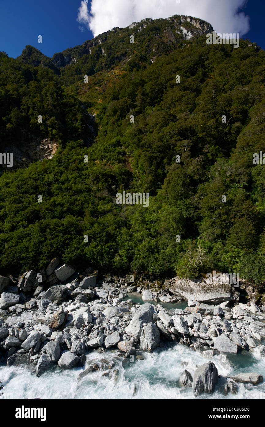Glacial waters of Haast River passes mountains, Gates of Haast gorge, Haast Pass, South Island, New Zealand Stock Photo