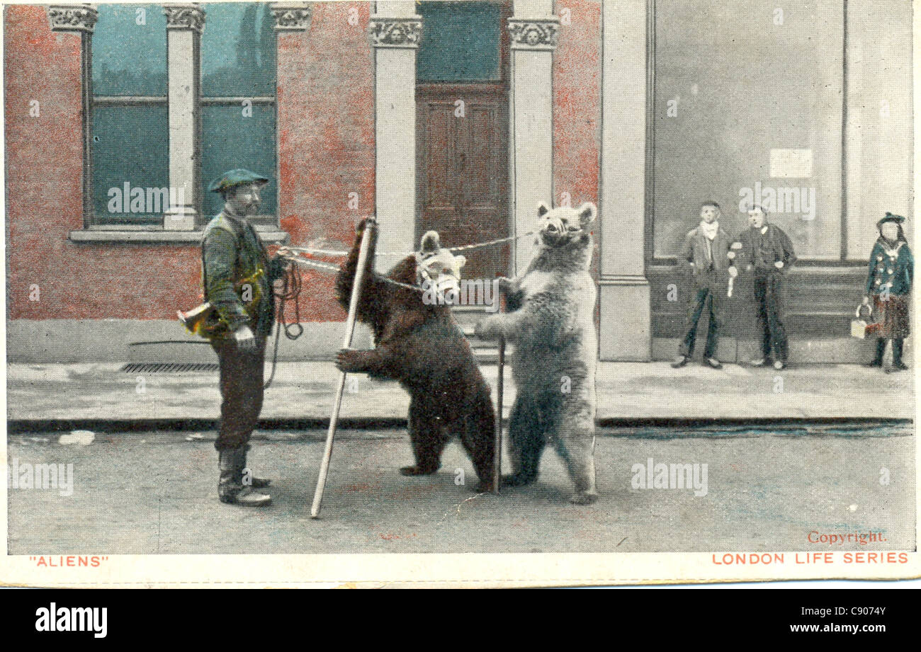 Picture postcard of performing bears in London street Stock Photo Alamy