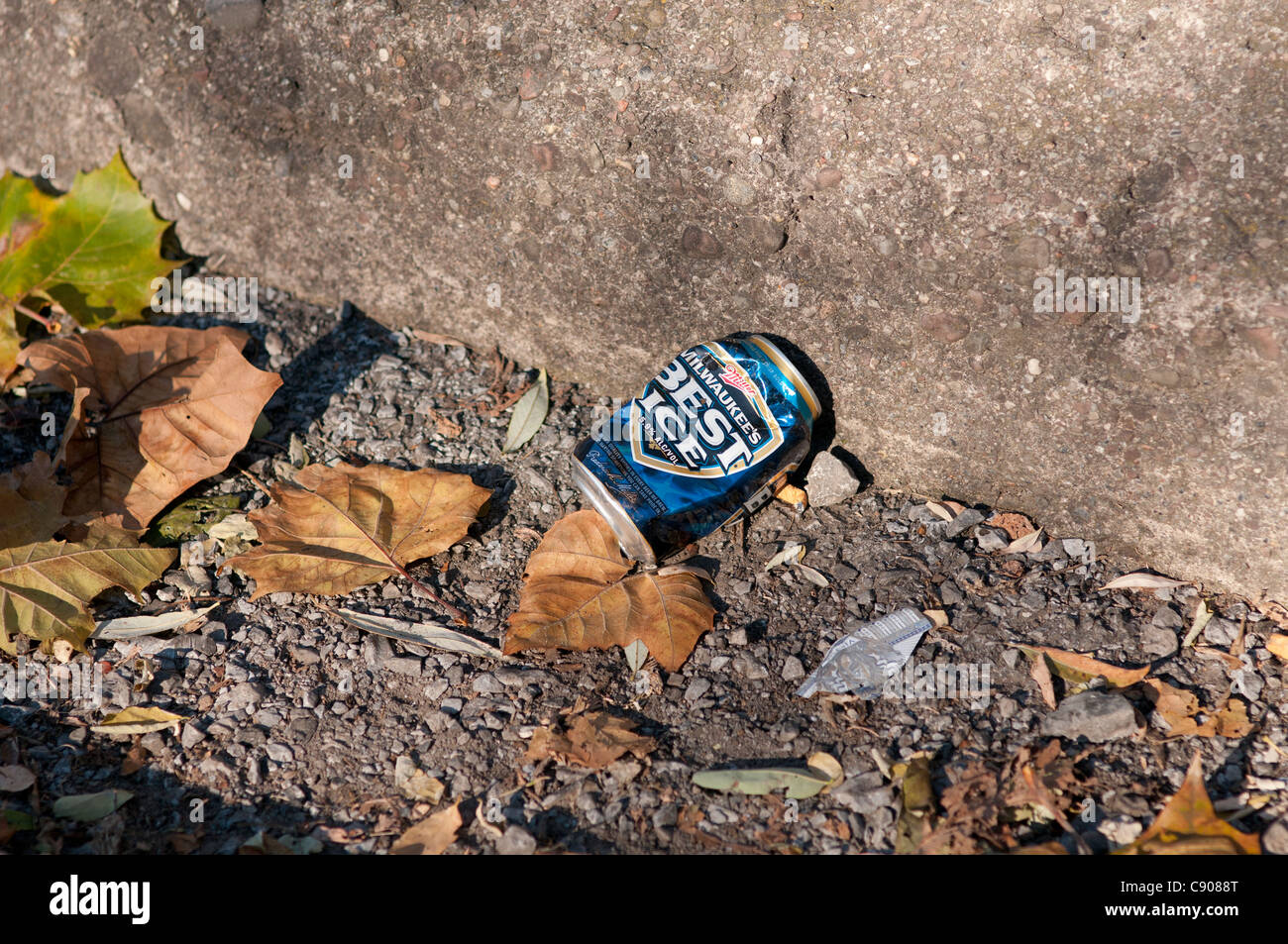Empty discarded beer can. Stock Photo
