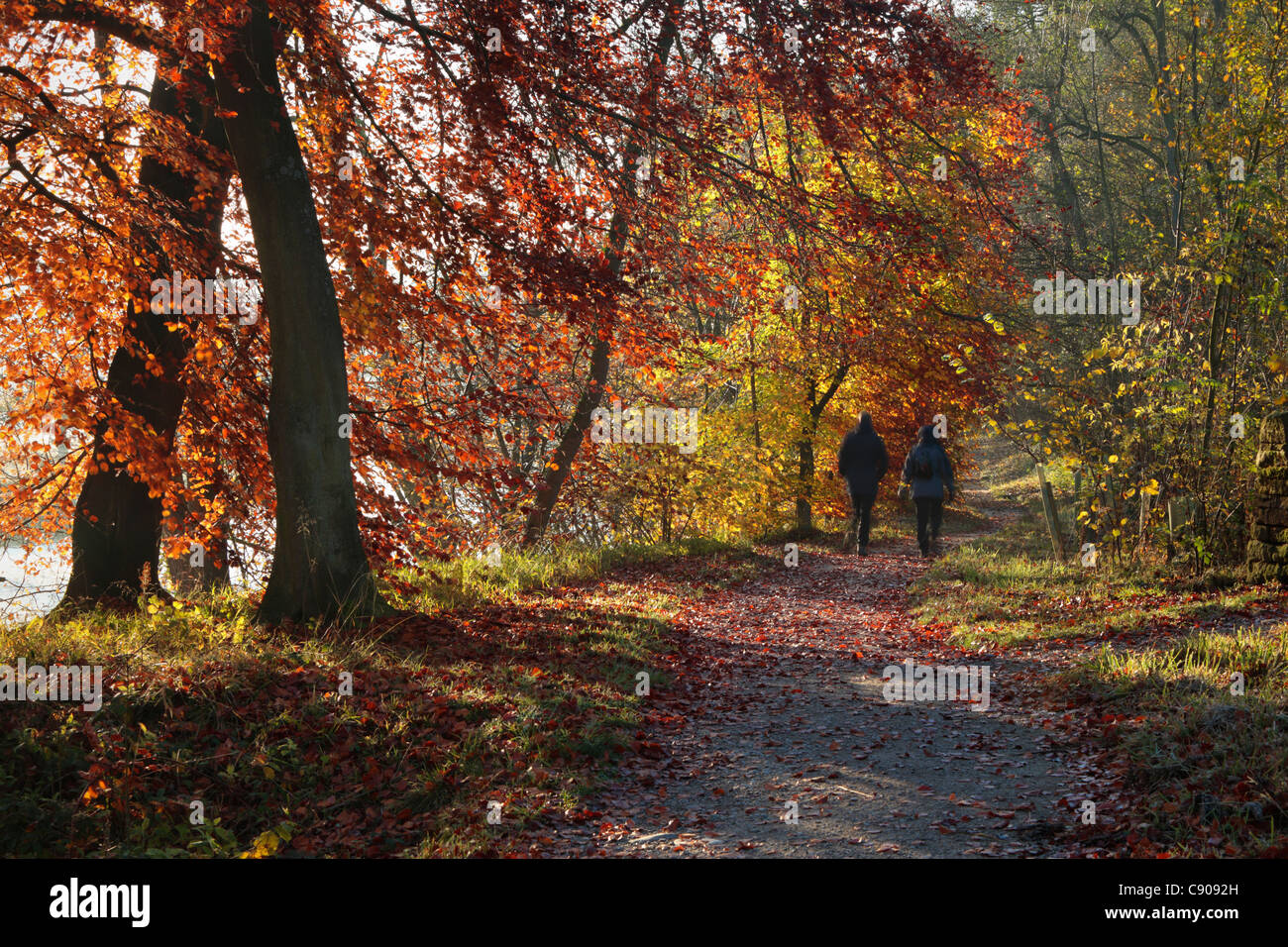 A couple walks along the River Wharfe on a beautiful autumn morning near Barden in Wharfedale, Yorkshire Stock Photo