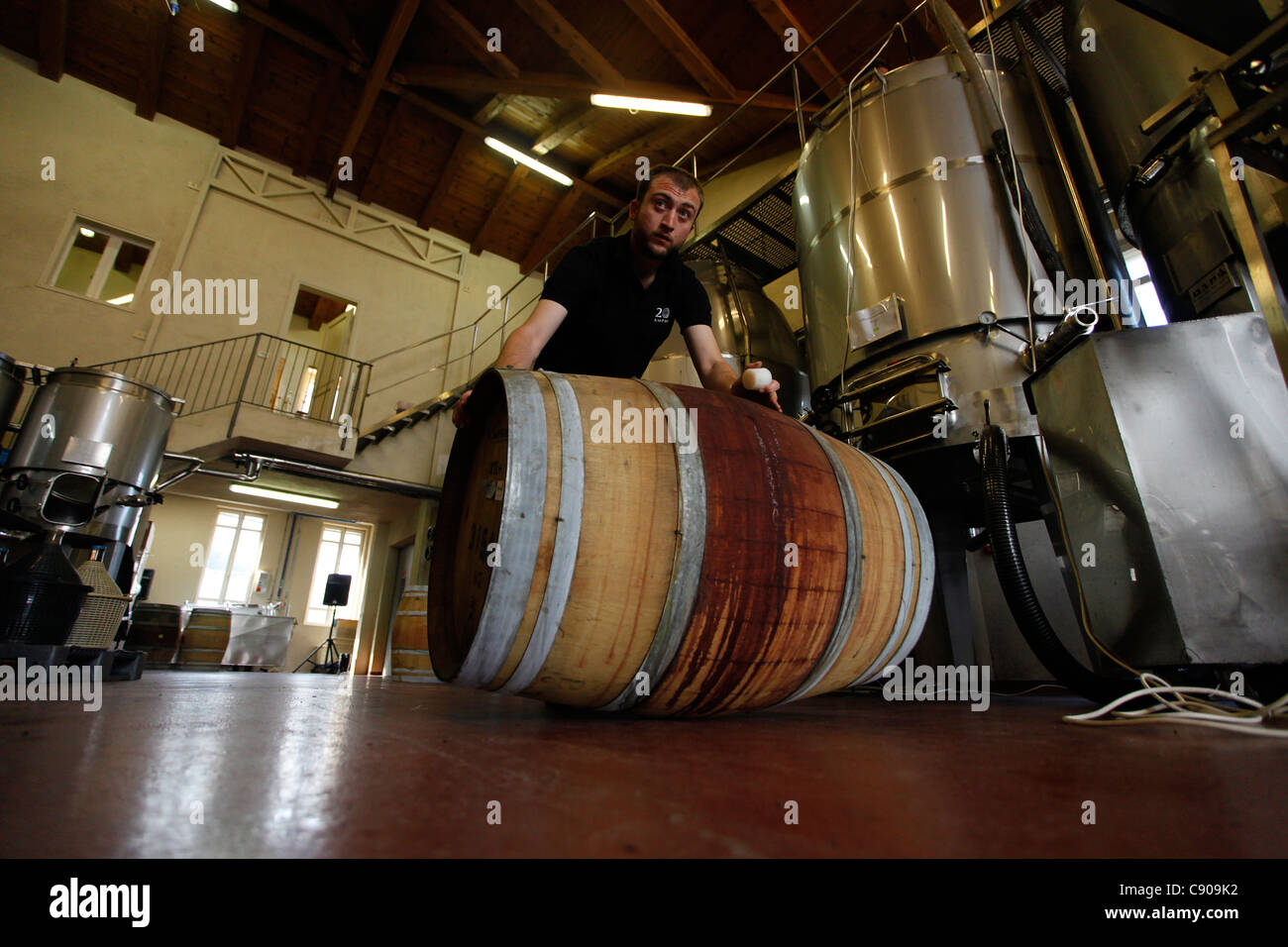 A worker rolling wine barrel in Amphora Winery near Zichron Yaacov, at