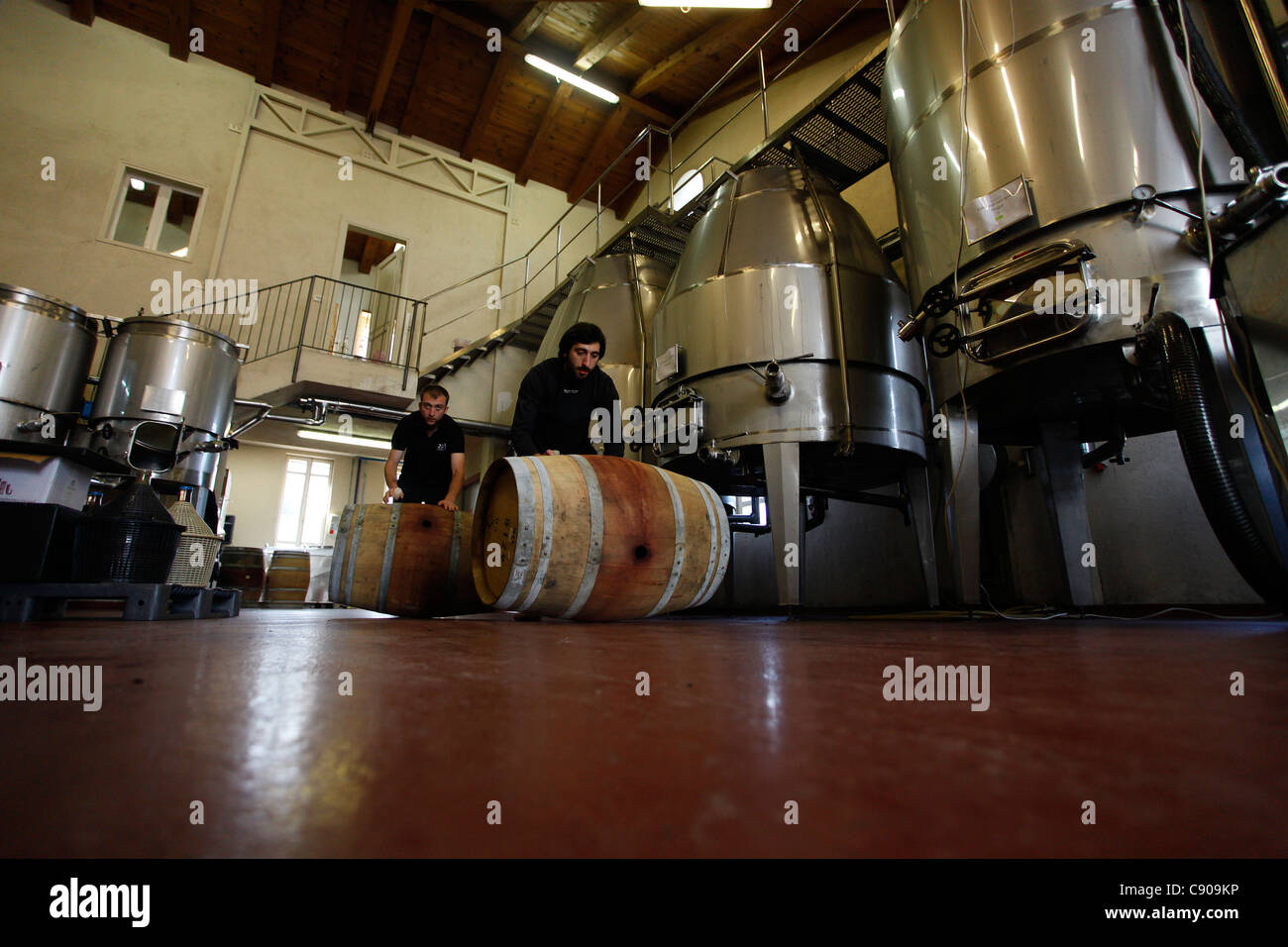 Workers rolling wine barrel in Amphora Winery near Zichron Yaacov, at