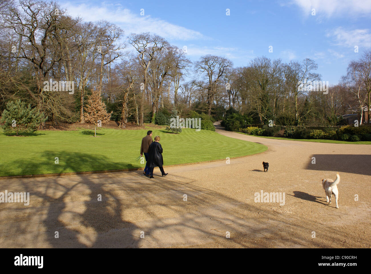 Couple walk in park with dogs Stock Photo - Alamy