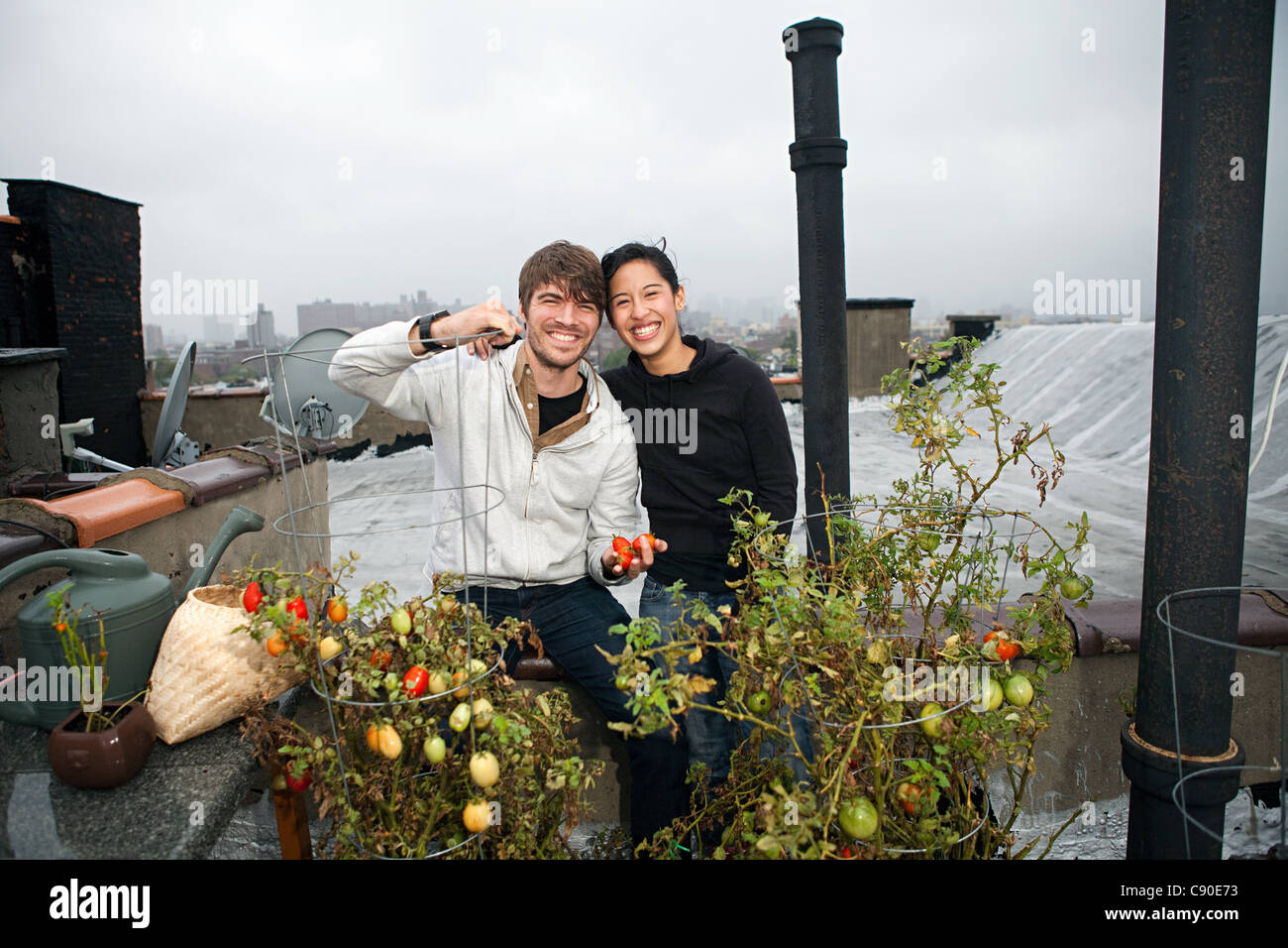 Young couple on roof garden growing tomatoes Stock Photo