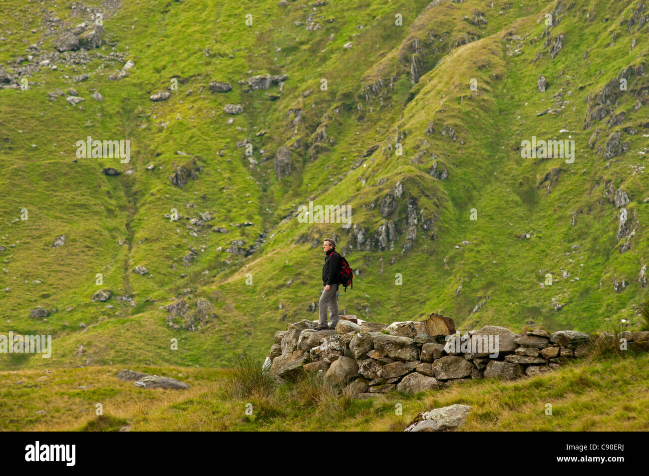 Hiker on the Miners Track towards Mt. Snowdon, Snowdonia National Park, Wales, UK Stock Photo