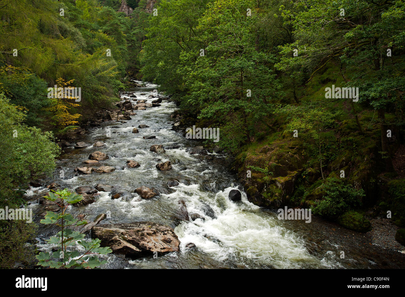 Aberglaslyn Gorge near Beddgelert, Wales, UK Stock Photo