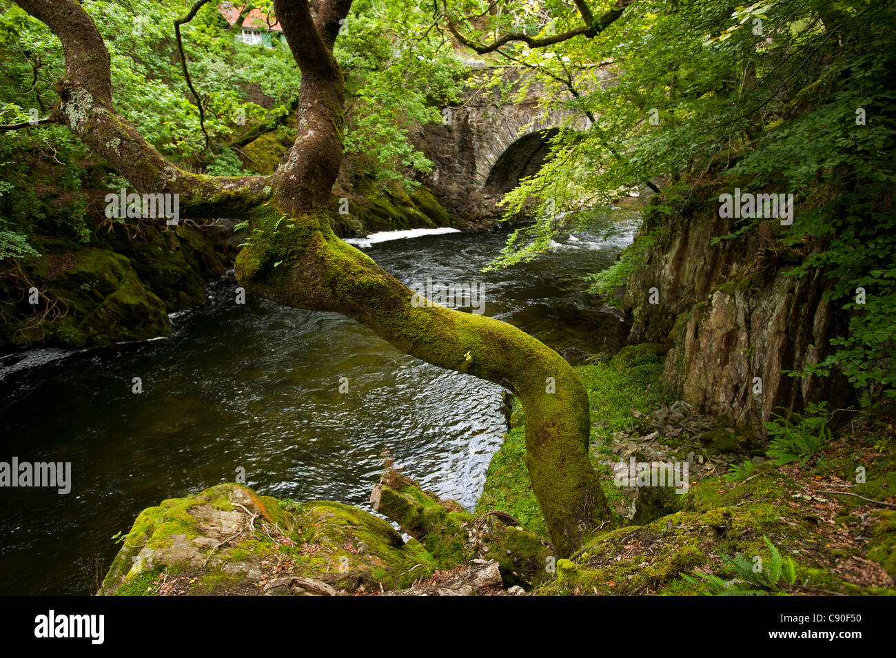 Aberglaslyn Gorge near Beddgelert, Wales, UK Stock Photo