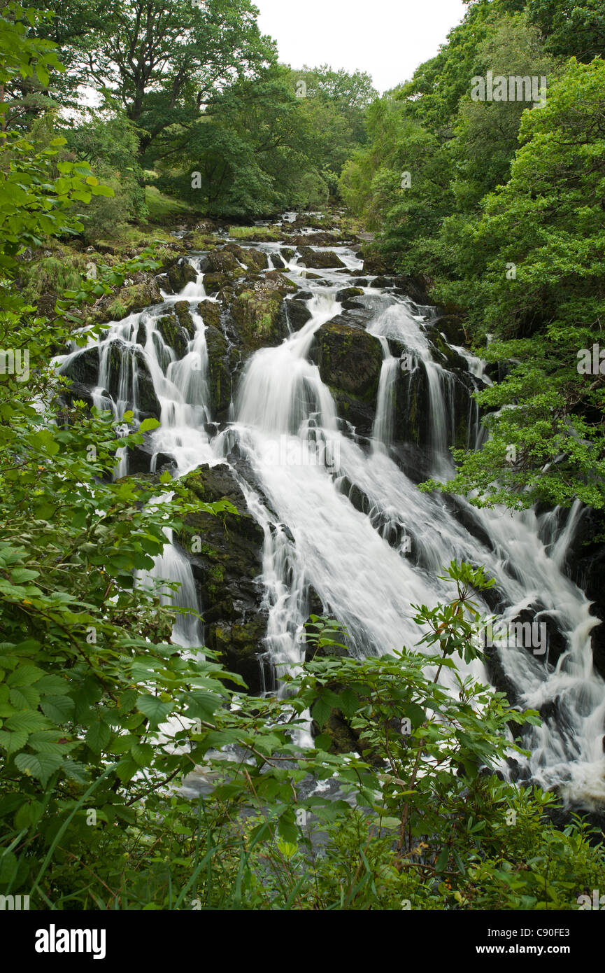 Swallow Falls near Betws-y-coed, Snowdonia National Park, Wales, UK Stock Photo