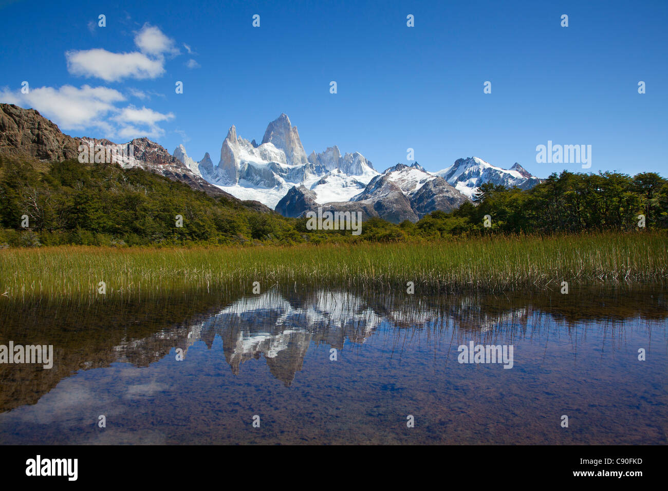 Mt. Fitz Roy reflecting in a little pond, Los Glaciares National Park, near El Chalten, Patagonia, Argentina Stock Photo
