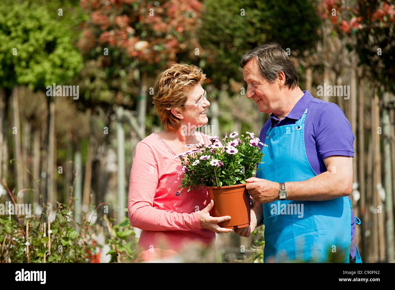 Woman buying plants at garden center Stock Photo