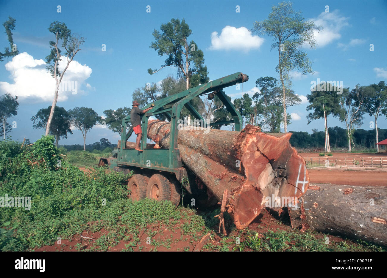 Global Witness (NGO) try to prevent illegal logging in Kompong Thom Province of Cambodia. 2002. Stock Photo