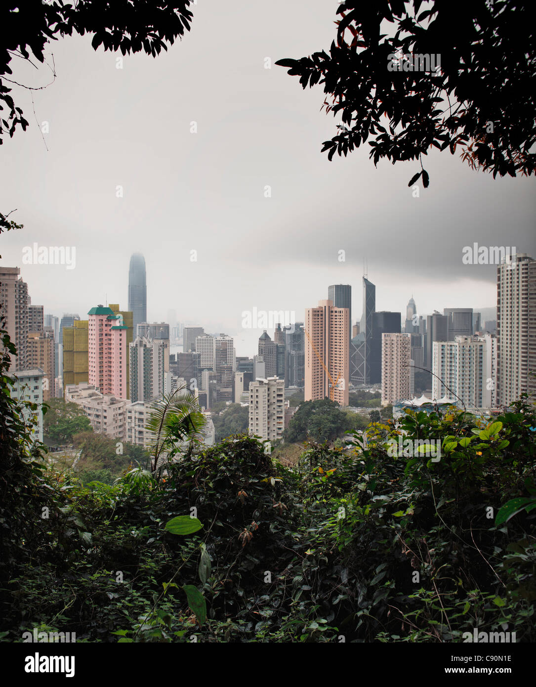 View through trees towards the Hongkong Skyline, Hong Kong, China Stock Photo