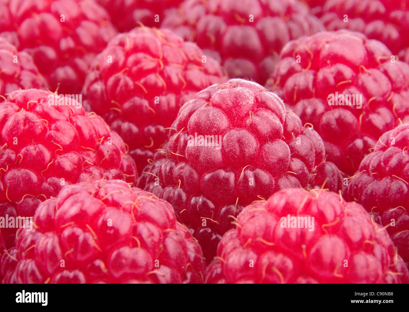 Raspberry fruit closeup view background Stock Photo