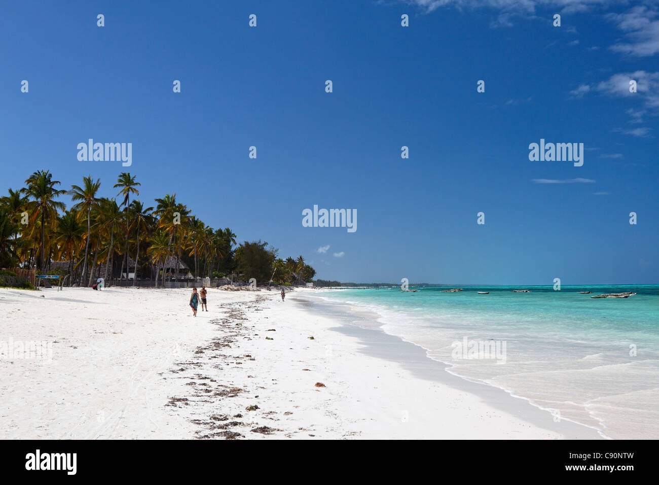 Sandy beach in the sunlight, Jambiani, Zanzibar, Tanzania, Africa Stock Photo