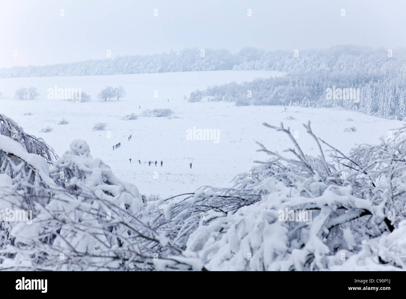 Crosscountry skiers, Hohe Tour route, Saxon Switzerland, Eastern Ore