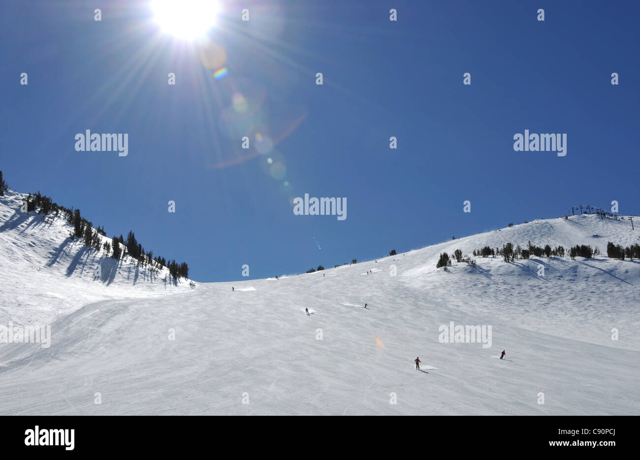 Ski slope in the sunlight, Mammoth Mountain ski area, California, USA, America Stock Photo