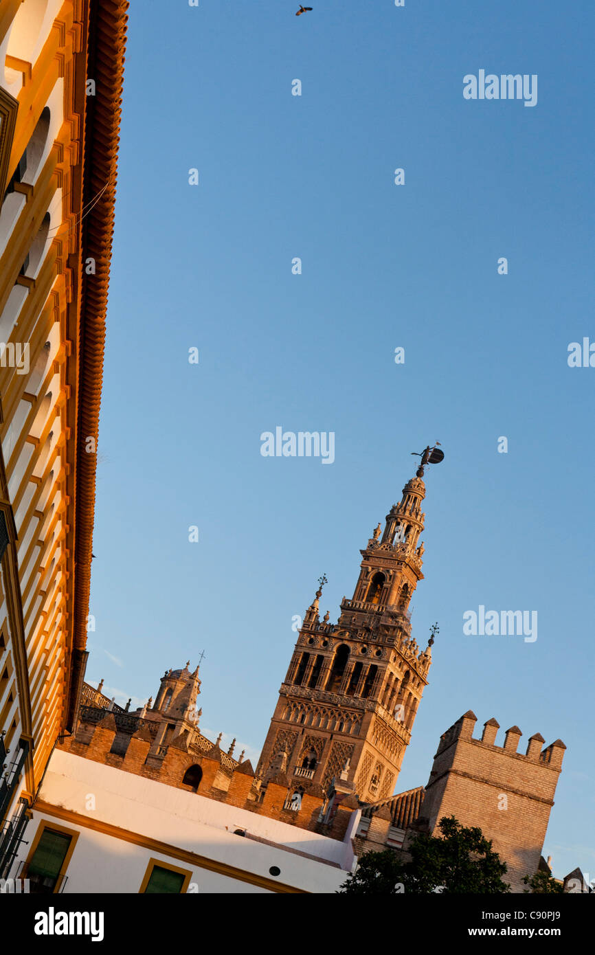 Belltower of Seville cathedral, Catedral de Santa Maria de la Sede, Seville, Spain Stock Photo