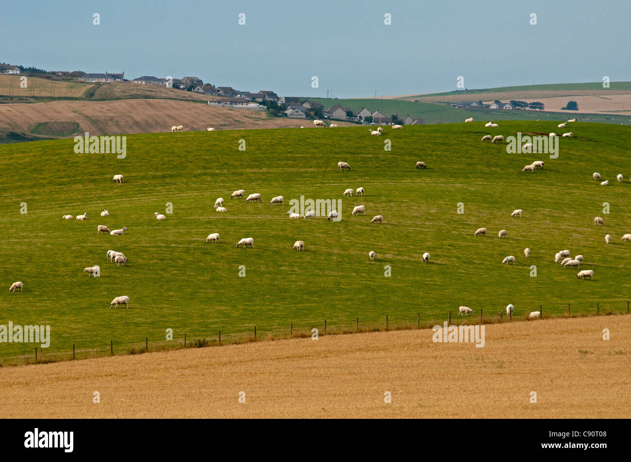 Land of sheep hires stock photography and images Alamy