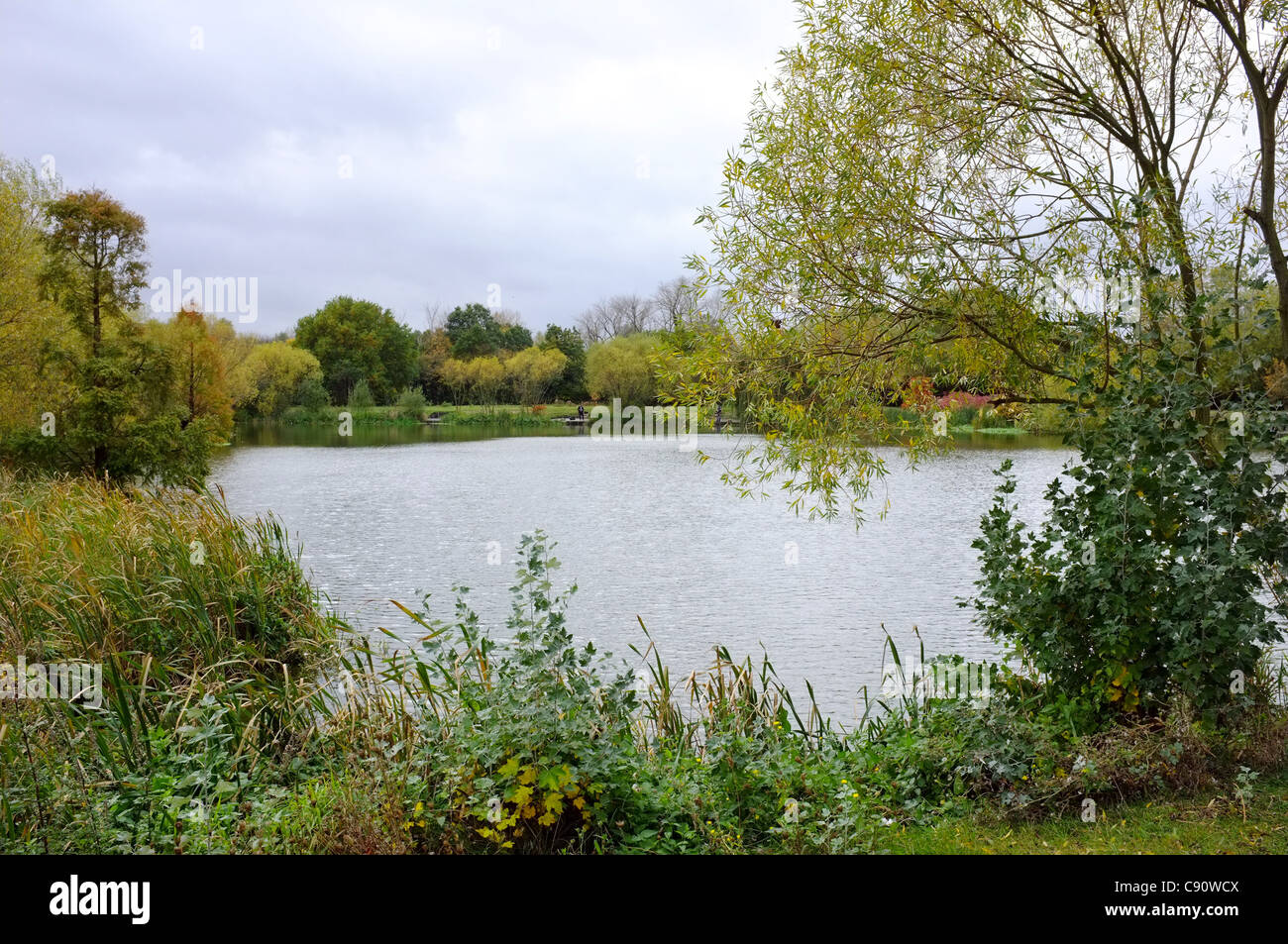 Northlands Park Lake in Basildon, Essex. Stock Photo