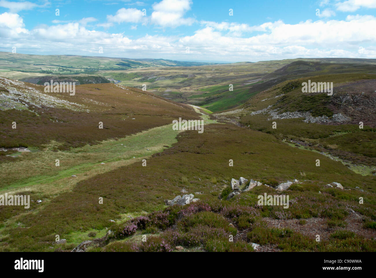 The Upper Teesdale landscape is protected as a unique habitat for flora particularly and has sub arctic and alpine species Stock Photo