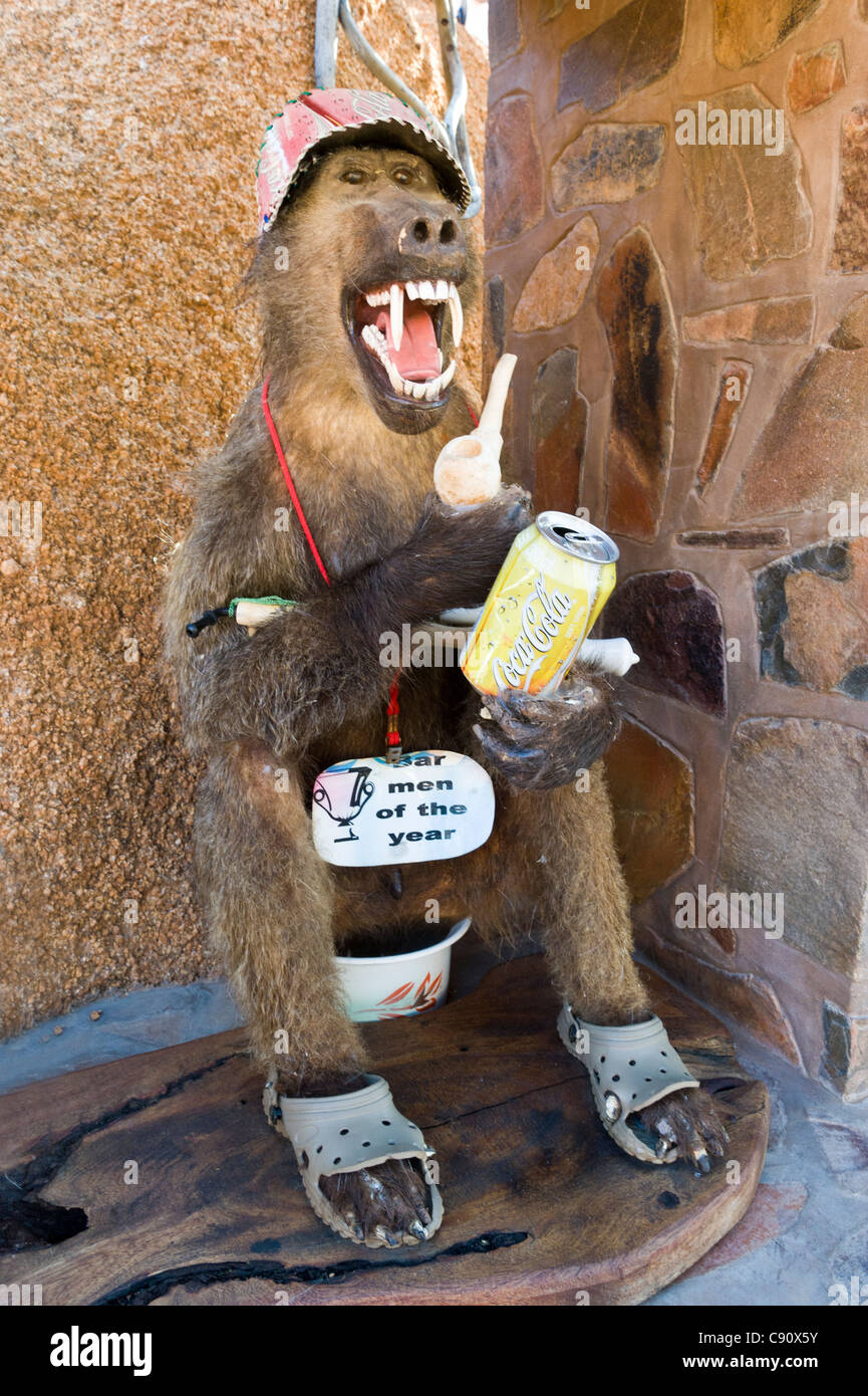 Absurd animal trophy with a sign 'Bar tender of the year' on a guest farm in Namibia Stock Photo