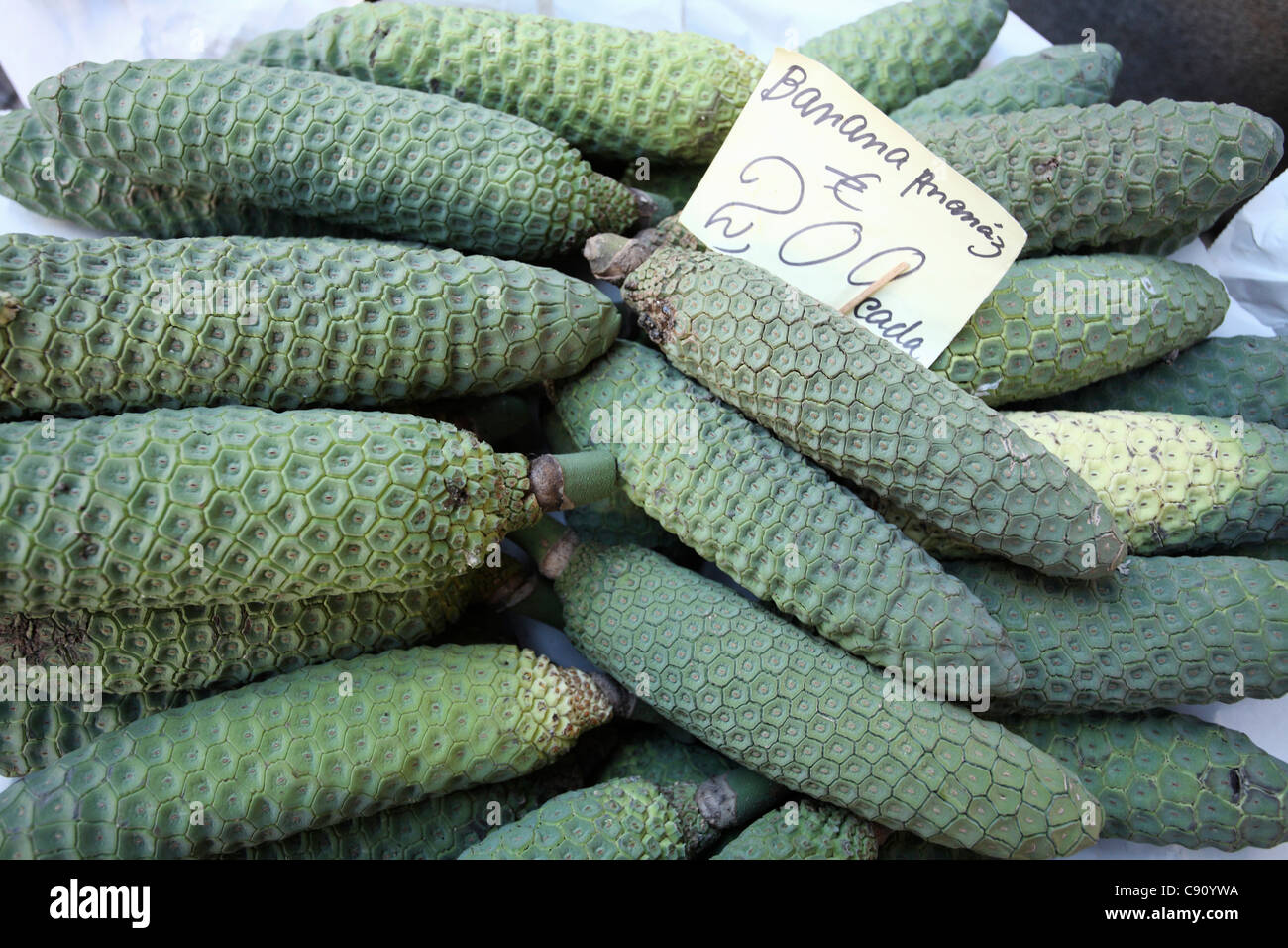 Cone like fruit hi-res stock photography and images - Alamy