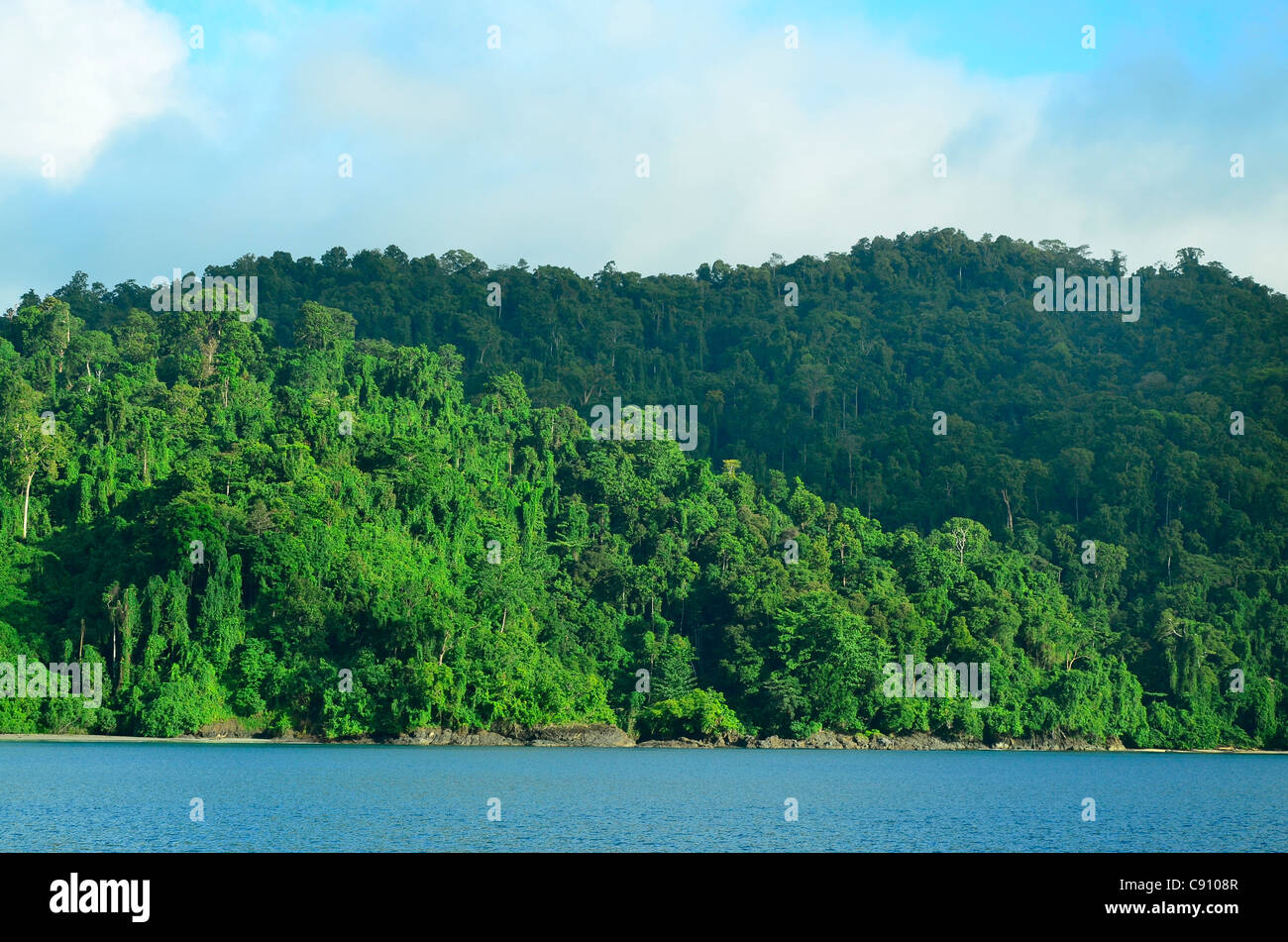 Papua rainforest, Batanta Island, Raja Ampat islands near West Papua, Indonesia in the coral triangle, Pacific Ocean. Stock Photo