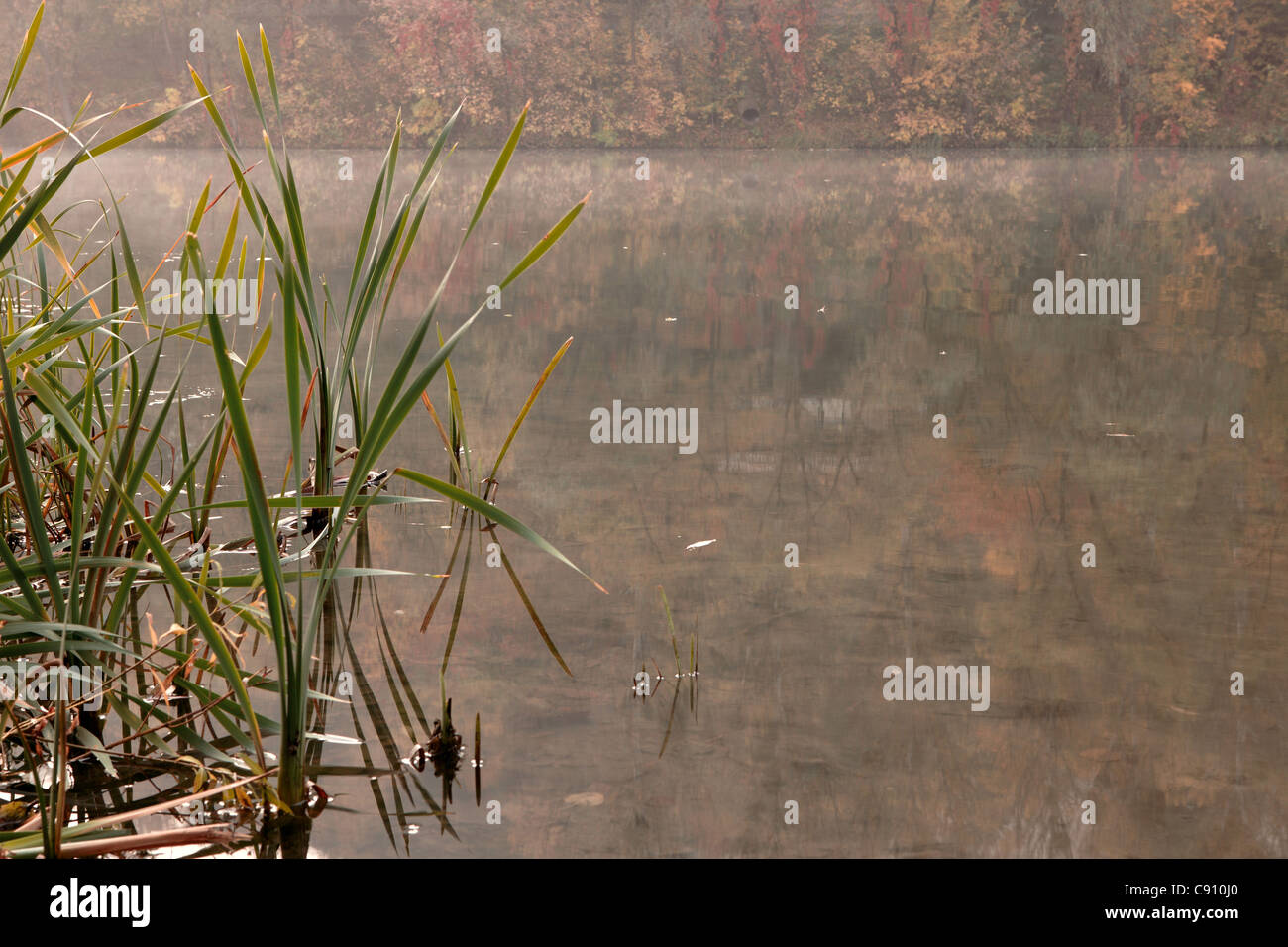 Misty morning on autumn lake Stock Photo - Alamy