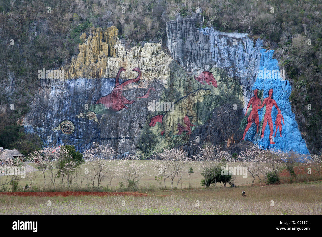 Mural de la Prehistoria. Cliff painting of the theory of evolution by Leovigildo Gonzalez Morillo in the Vinales Valley, Cuba. Stock Photo