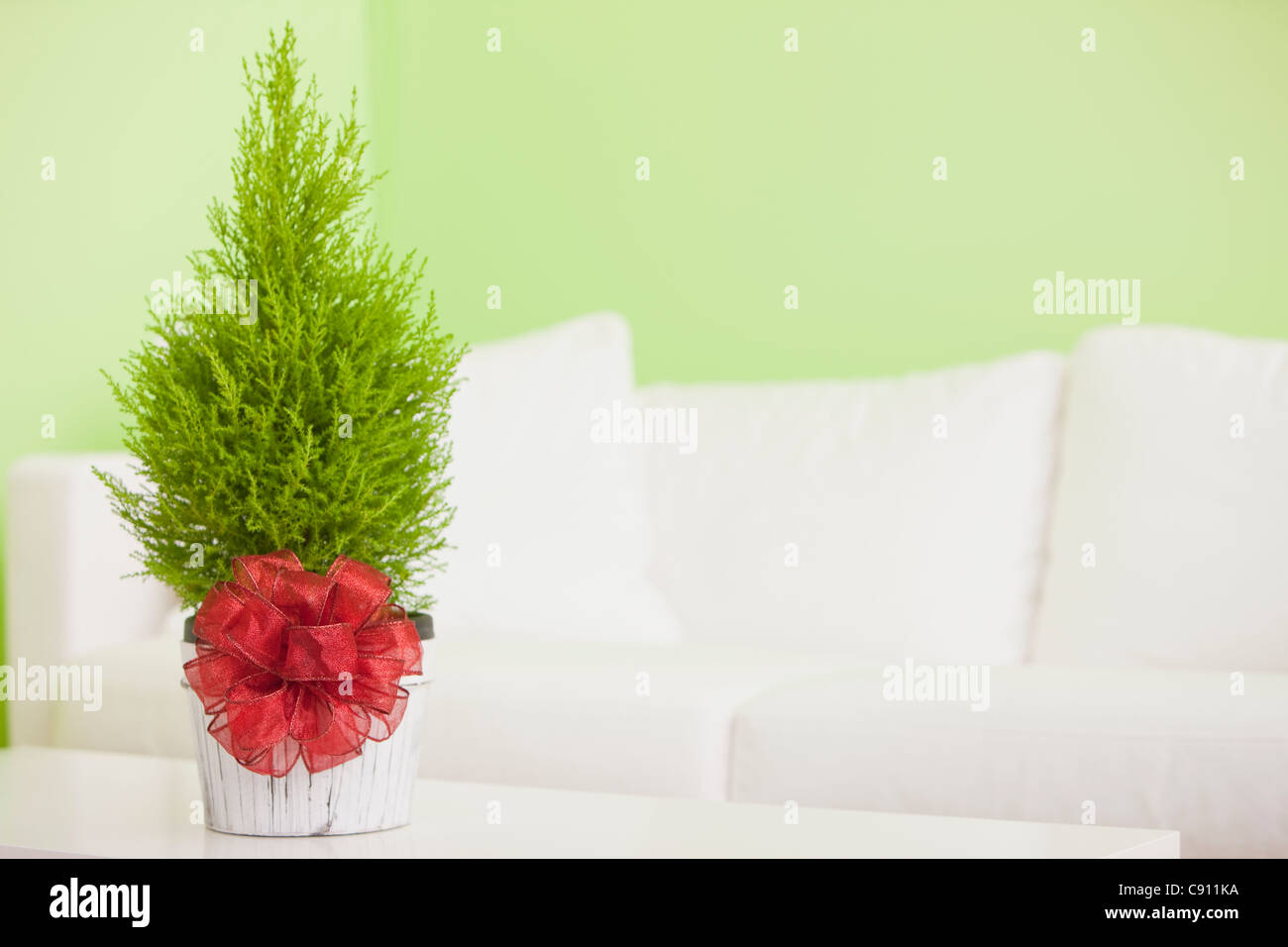 Red cypress hires stock photography and images Alamy