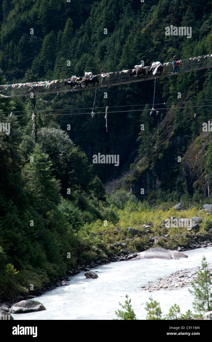 There are long narrow rudimentary rope bridges across the gorges and fast flowing rivers of the region. Stock Photo