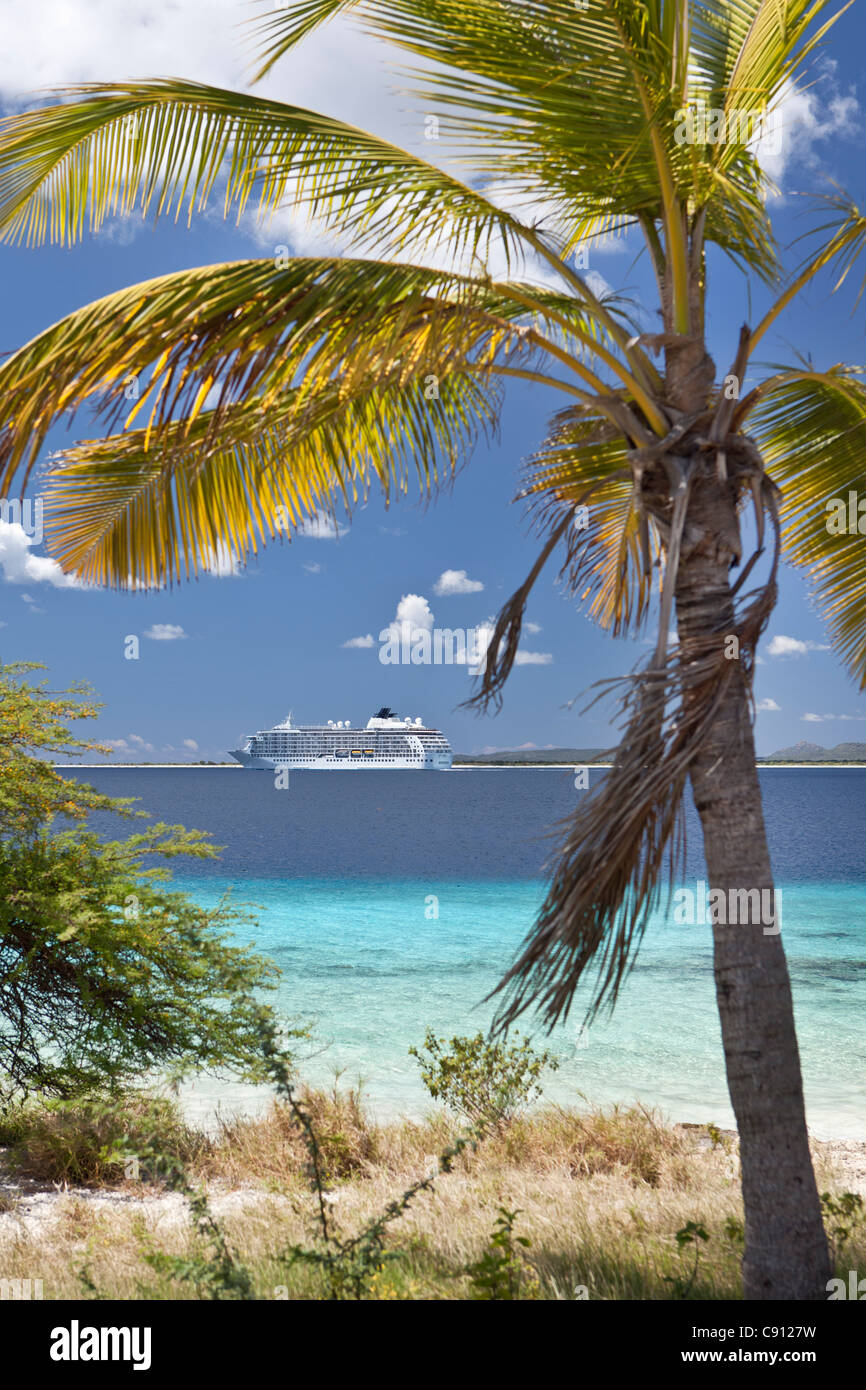 The Netherlands, Bonaire Island, Dutch Caribbean, Kralendijk, Cruise ship leaving island, palmtree. Stock Photo