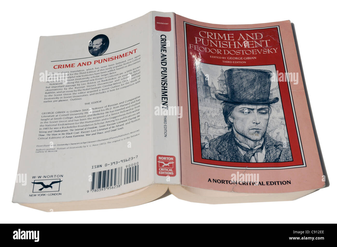 crime-and-punishment-dostoevsky-cut-out-stock-images-pictures-alamy