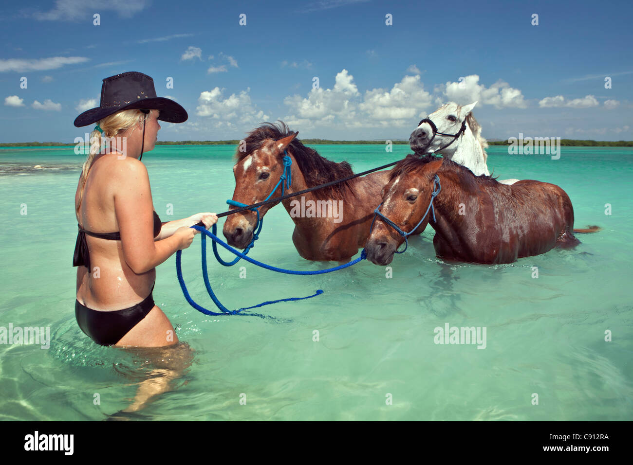 The Netherlands, Bonaire Island, Dutch Caribbean, Kralendijk, Lac Bay. Horse riding. Cooling of in sea. Stock Photo