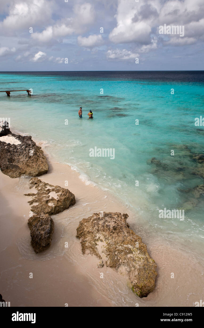 The Netherlands, Bonaire Island, Dutch Caribbean, Kralendijk, Couple diving. Stock Photo