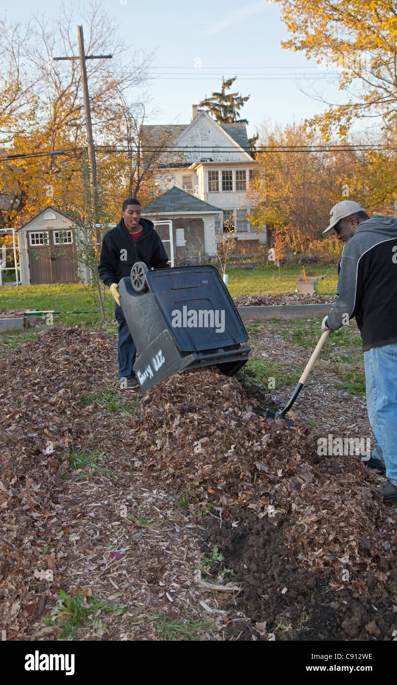 Volunteers spread fallen leaves on community garden Stock Photo