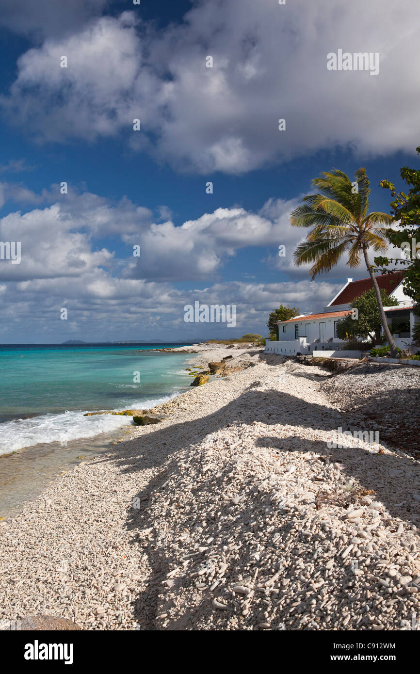 The Netherlands, Bonaire Island, Dutch Caribbean, Kralendijk, house on beach. Stock Photo