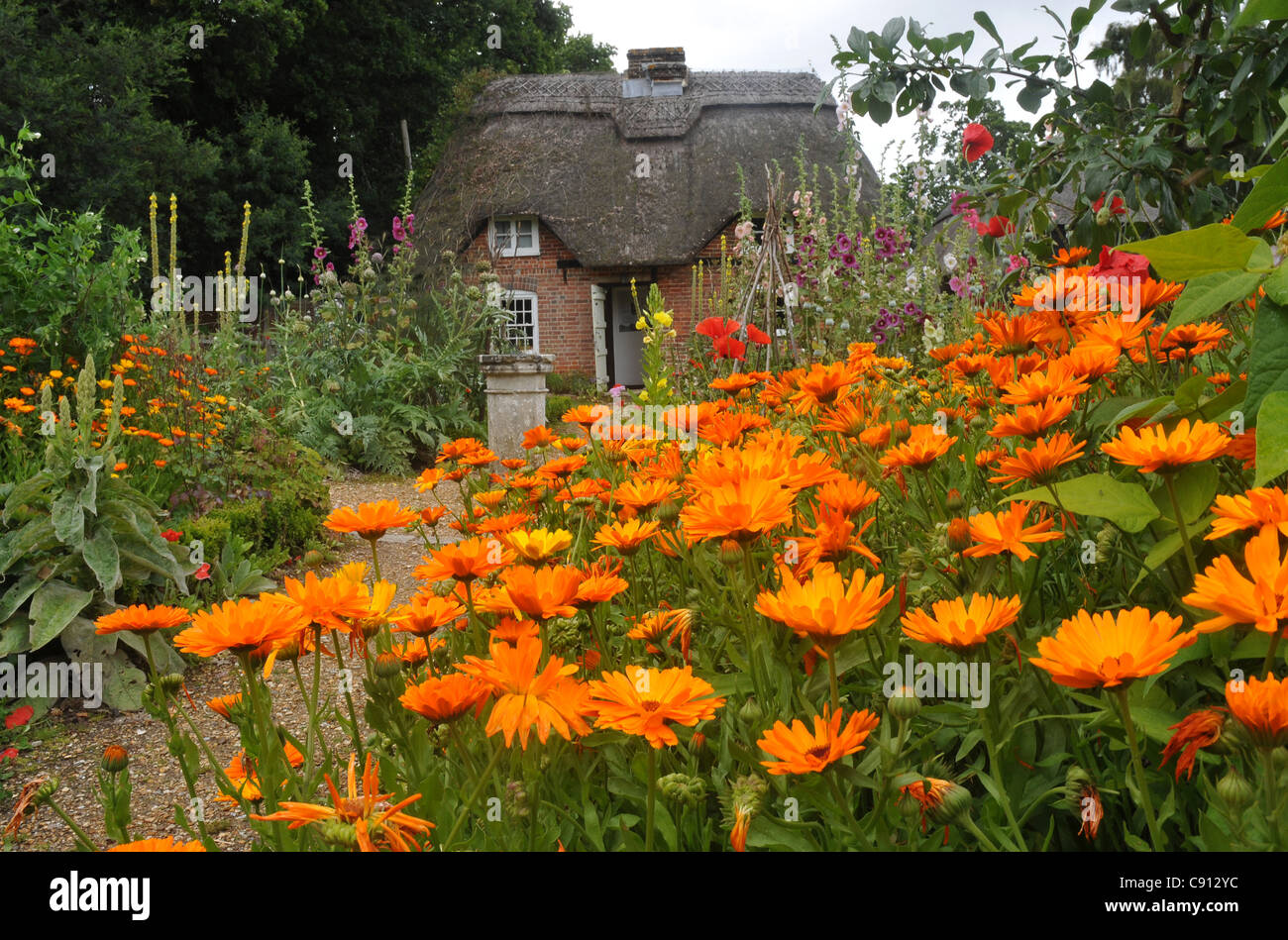 MARIGOLDS AND POPPIES IN THE GARDENS OF THE I6TH CENTURY COBB COTTAGE