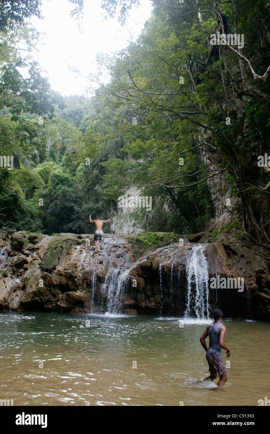 Samana Rivers There are waterfalls and small pools in the rivers of the rainforest in ...