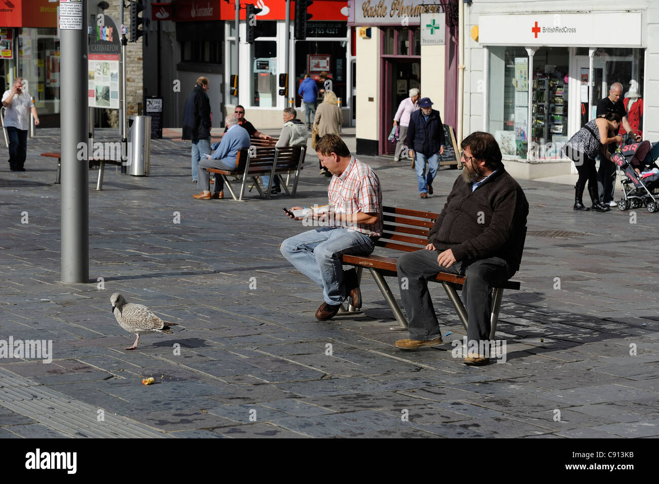 Two Men Sitting On A Bench One Eating His Lunch Next To A Seagull
