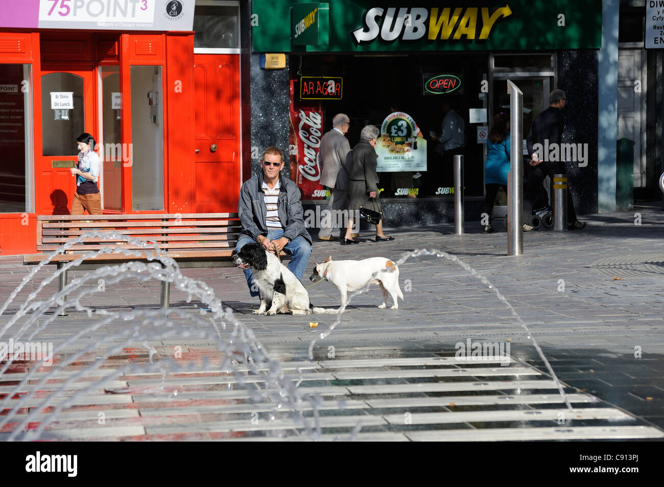 man with 2 dogs sitting on a bench in castle square caernarfon gwynedd north wales uk Stock Photo
