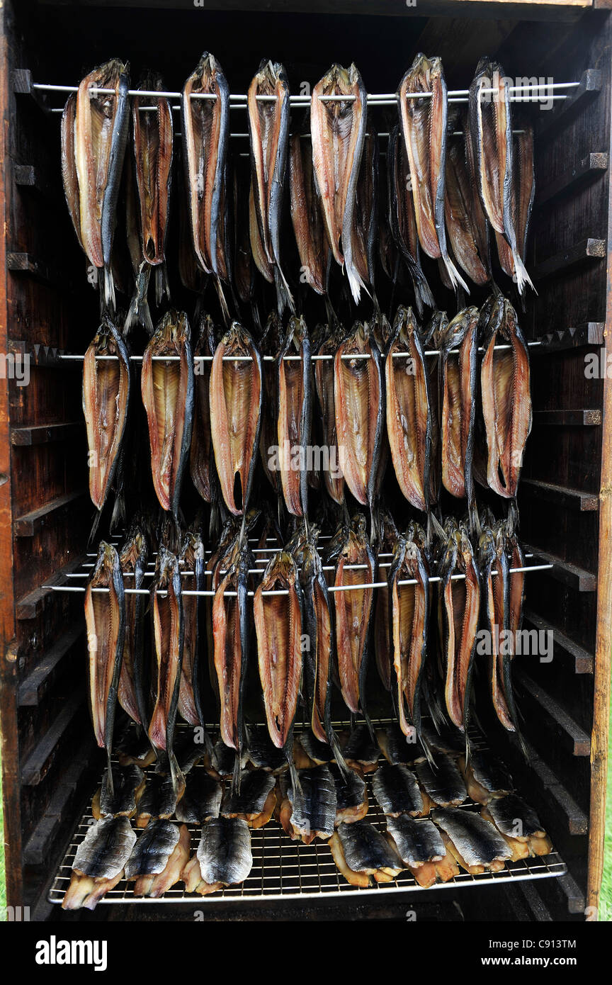 Arbroath Smokies, Haddock smoked over wood being prepared in the