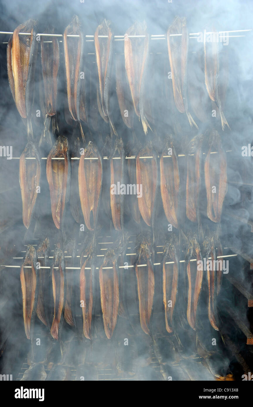 Arbroath Smokies, Haddock smoked over wood being prepared in the