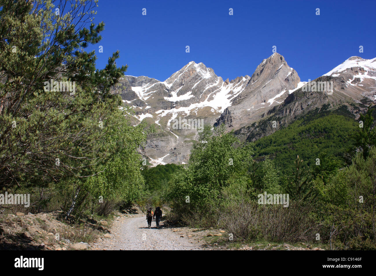 The Valle de Pineta is a glacial valley and cirque or natural bowl in ...