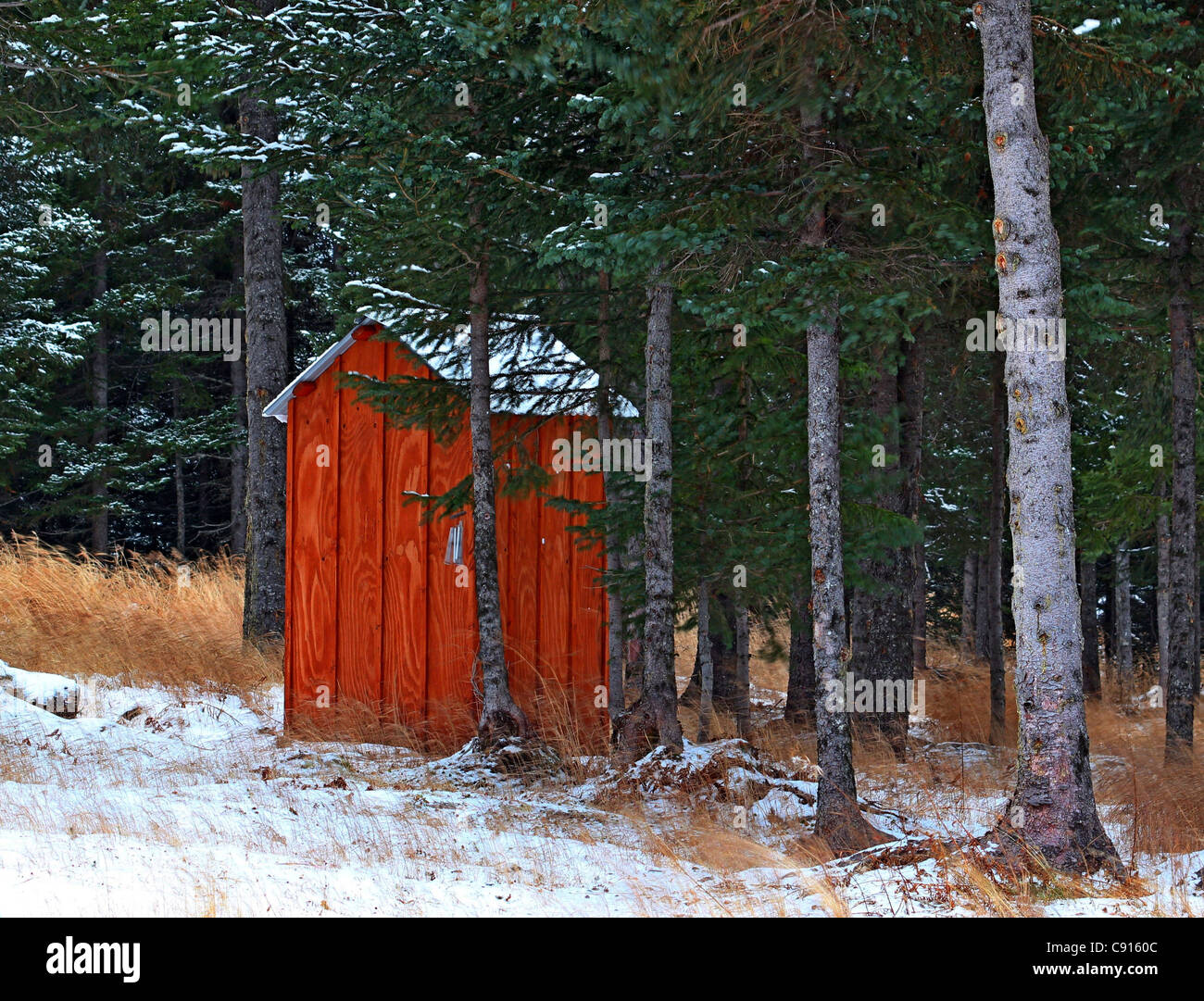 An Alaskan outhouse with the first snow falling in a spruce forest Stock Photo