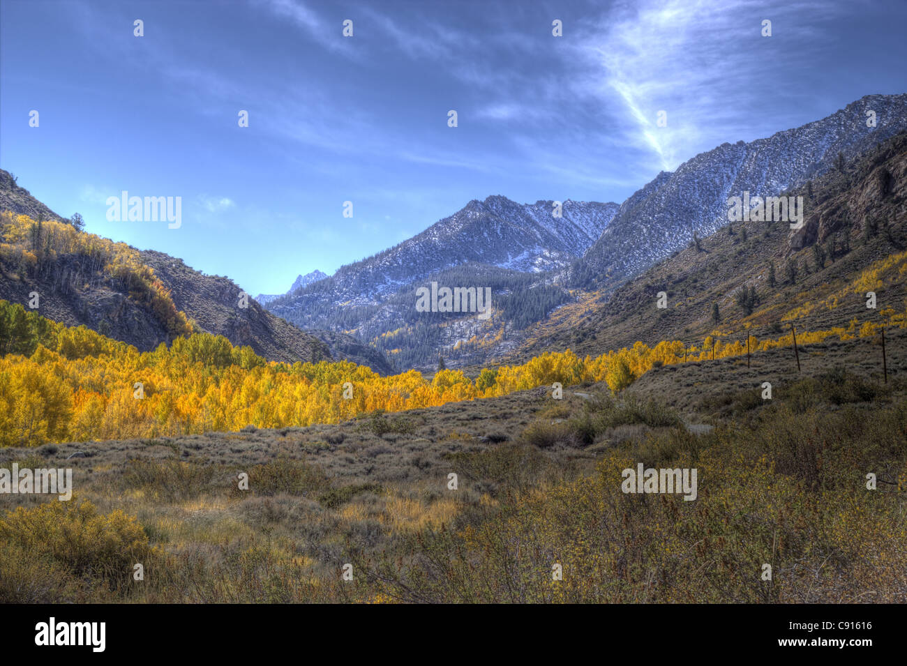 Golden aspen in a canyon in the Eastern Sierras with scenic mountains and interesting clouds. Stock Photo