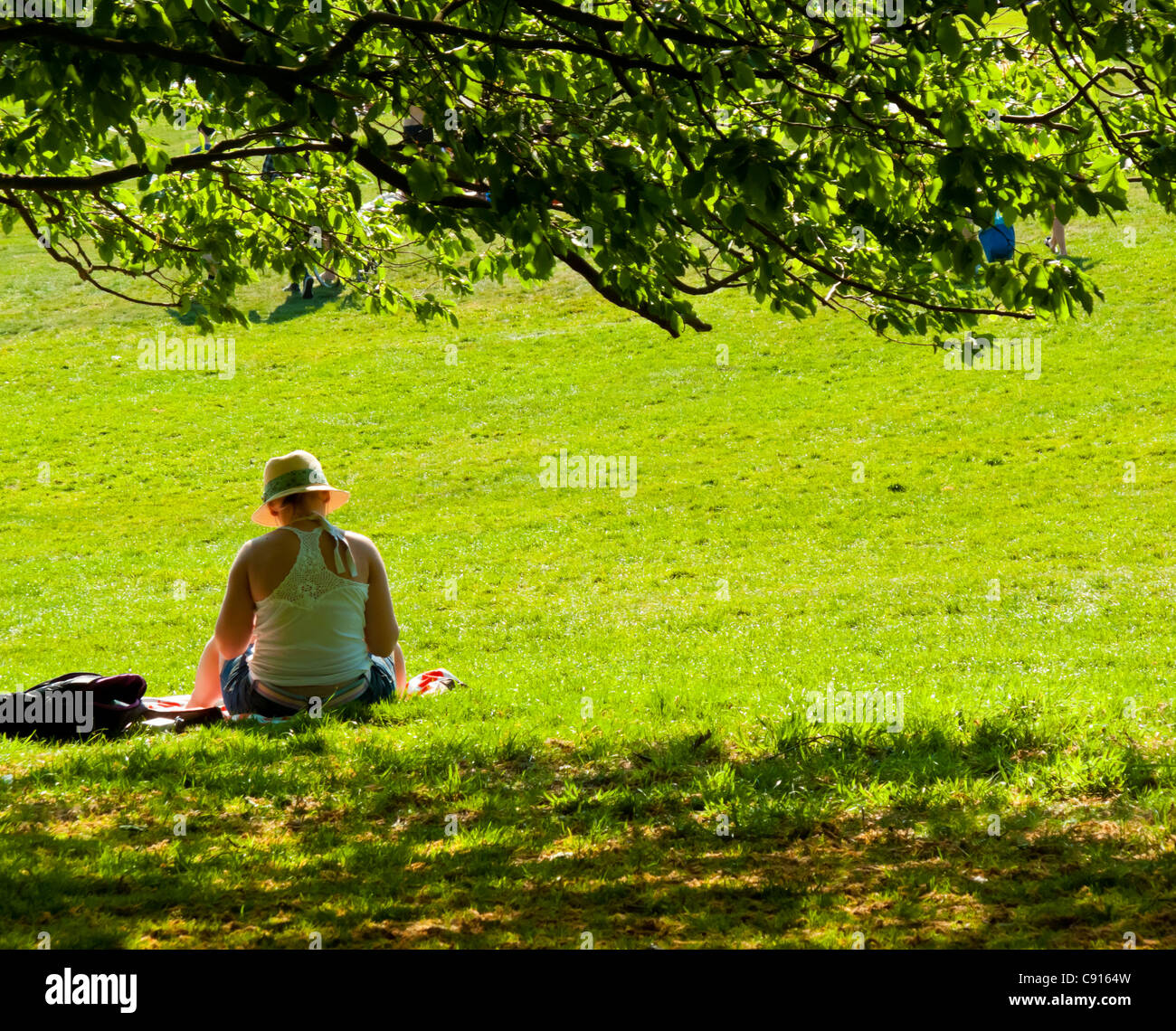 Woman relaxing under a tree on a bright sunny day on Hampstead Heath north London England UK Stock Photo