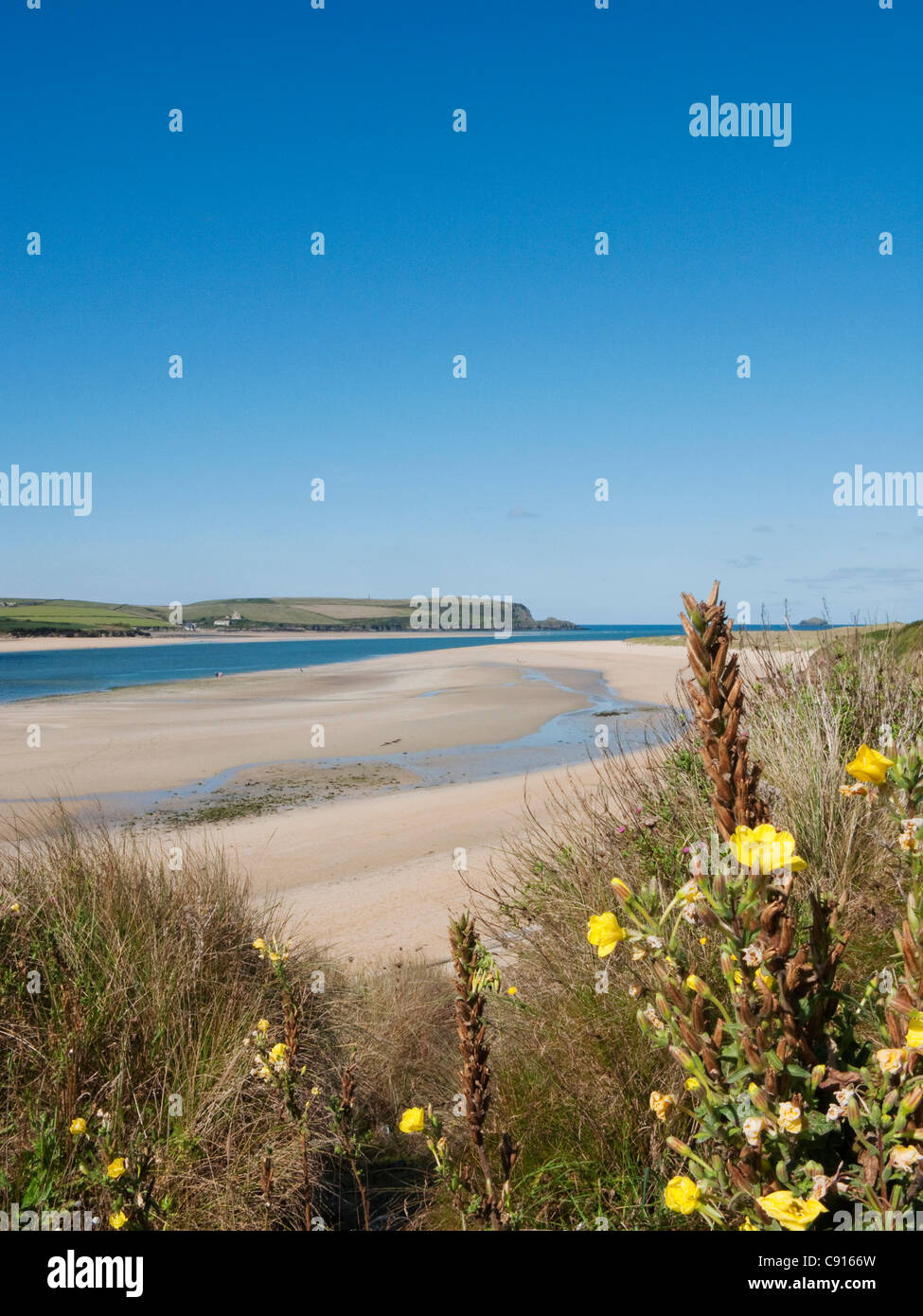 Daymer Bay and the Camel Estuary are very beautiful stretches of the ...